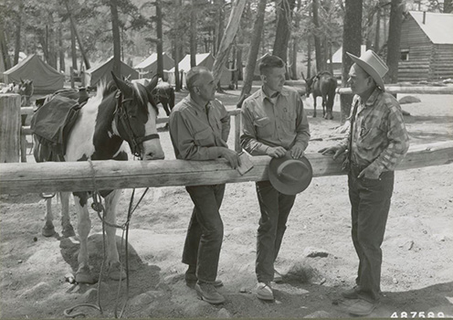 golden trout camp